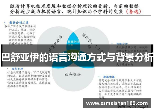 巴舒亚伊的语言沟通方式与背景分析